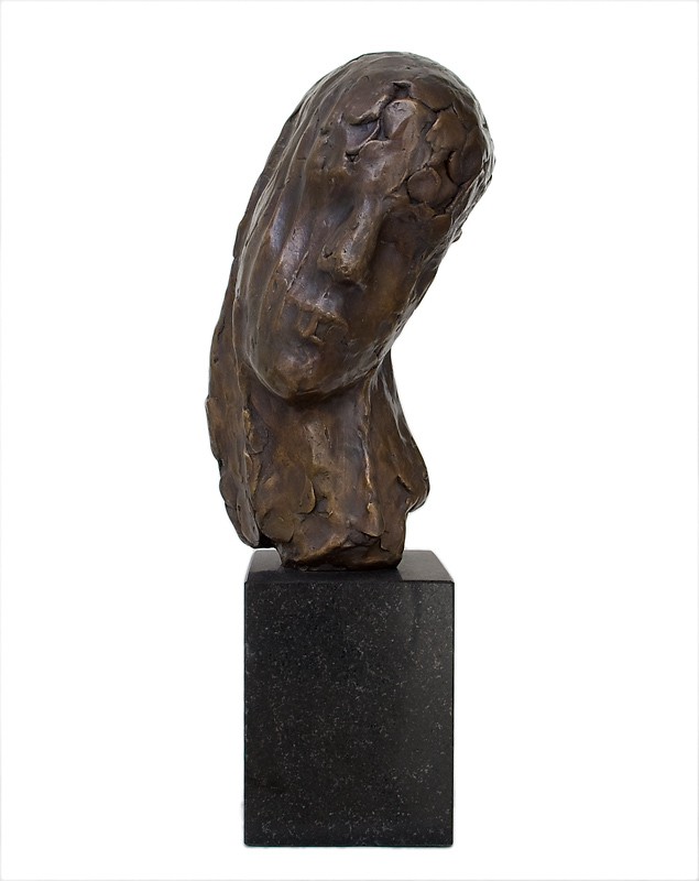 Viker (2009) — Nico Widerberg