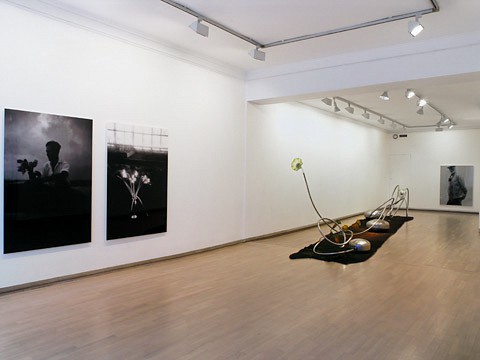 Reisen – Return to Beauty (2006) — Kristin Ytreberg