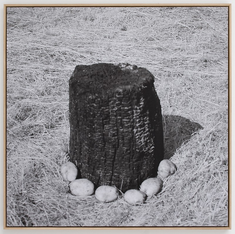U.t. (2012) — Margareta Bergman