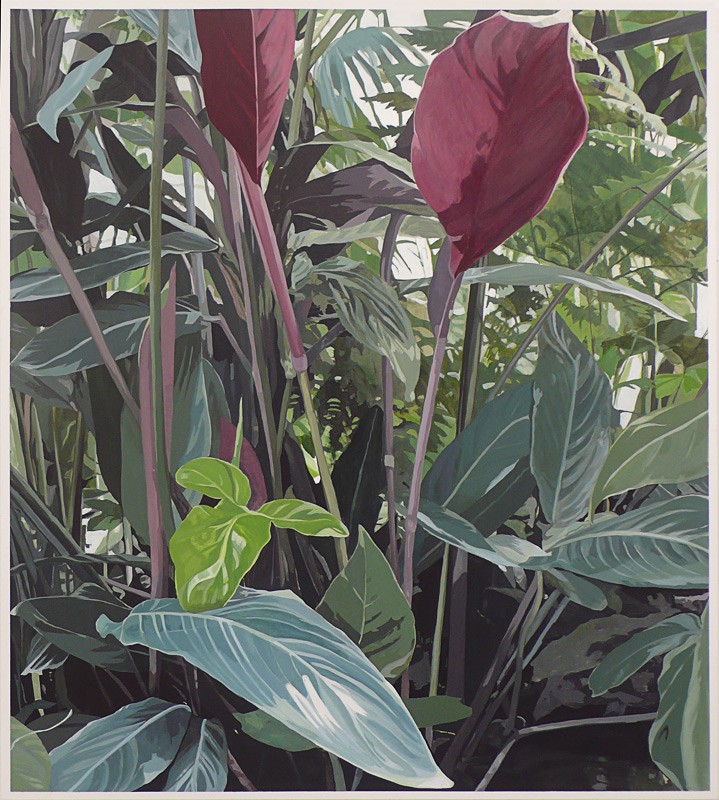 Göteborgs botaniska trädgård (2008) — Minna Hannele Lappalainen