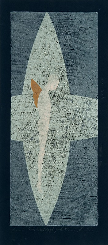 Mørkelagt jord (2008) — Trine Lindheim