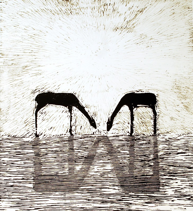 Par, under solen (2008) — Mari Krokann Berge