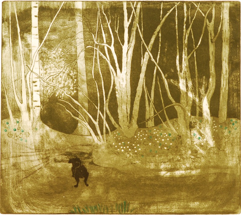 Inn i skogen (2009) — Birgit S. Jakobsen