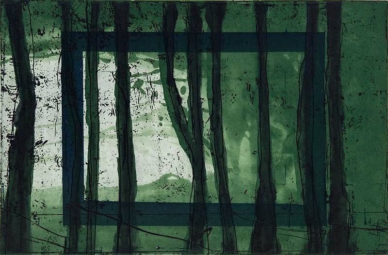 Innrammet skogslys (2011) — Kjell Nupen