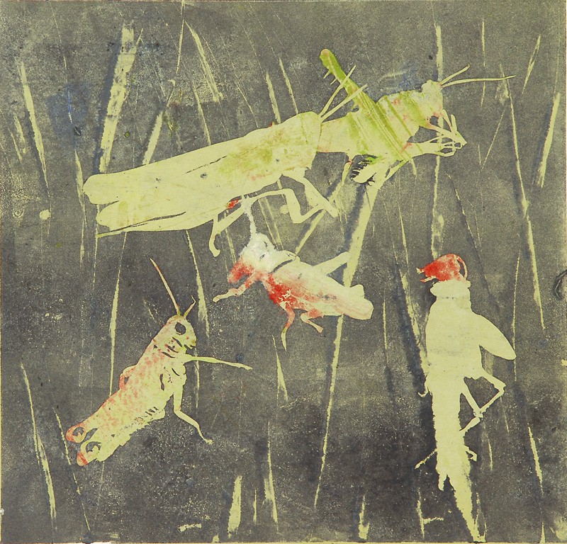 Gresshopper (2008) — Zinnia Gjengstø