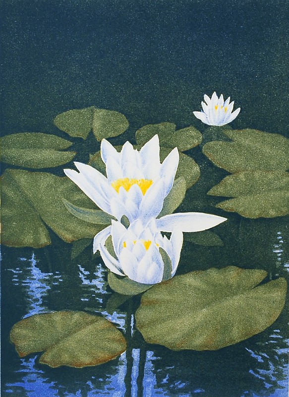 Nøkkeroser (2010) — Jan Harr