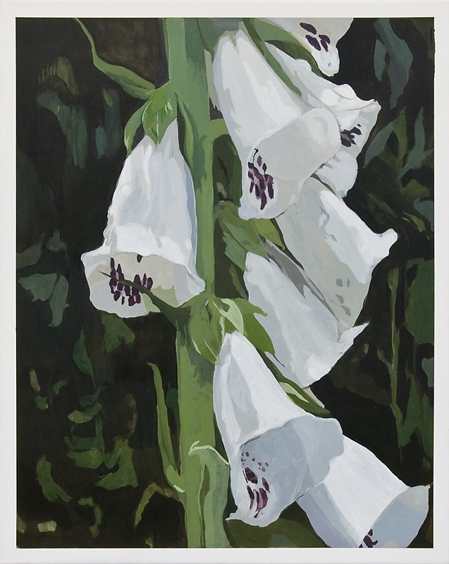 Digitalis (2011) — Minna Hannele Lappalainen