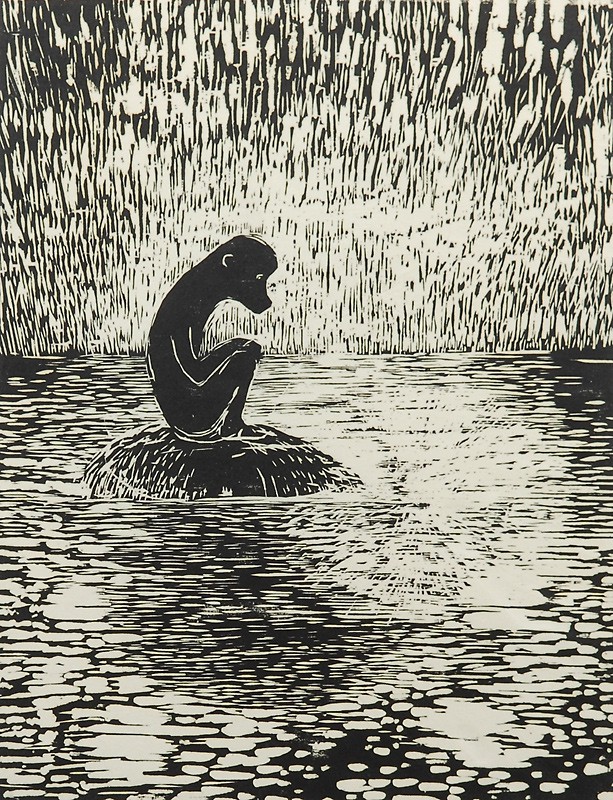 Noe som forsvant (2008) — Mari Krokann Berge