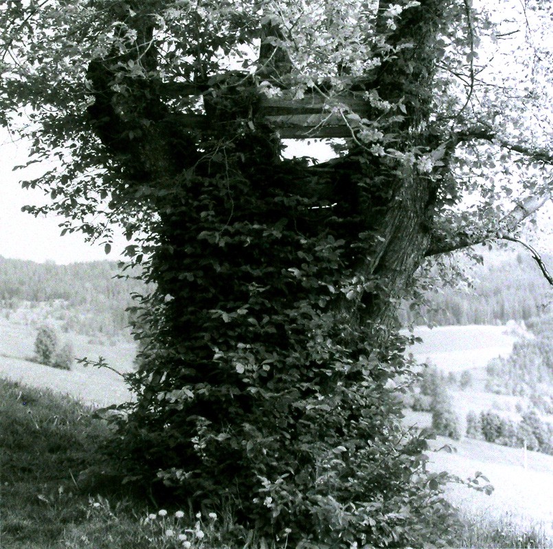 Utsiktspunkt og gøymestad (2003) — Jens Hauge