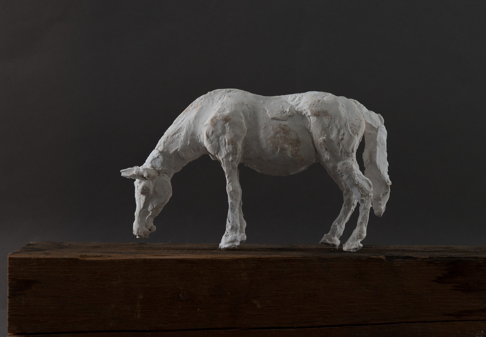 Hestestudie I (2016) — Gisle Harr